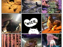 -正佳雨林生态植物园