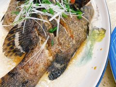 -渔中舟海鲜大排档(普陀沈家门店)