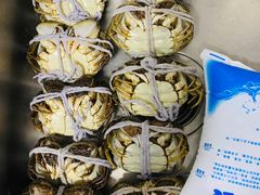 -江杨农产品批发市场