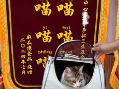 -瑞派中心宠物医院·CT·核磁·神经专科