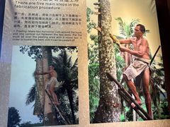 -海南槟榔谷黎苗文化旅游区