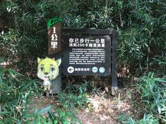 -清溪森林公园
