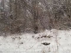 -鳌山滑雪度假区