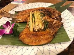 香茅草烤罗非鱼-紫滇源云南生态菜(丹凤街店)