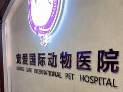 -宠爱国际动物医院·疑难骨科·心肾内科·皮肤科(太阳宫店)
