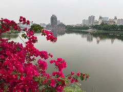 -眉山湿地公园(东坡区)