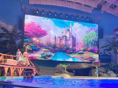 -海合安武汉极地海洋公园