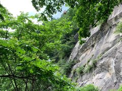 -王顺山国家森林公园