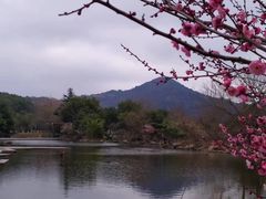 -白马涧龙池景区