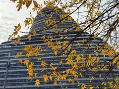 -新荟城(望京店)