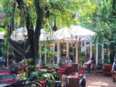 -Fern Forest Cafe
