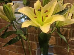 -毛家饭店·融合新湘菜·主题宴(齐鲁软件园店)