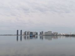 -万绿园