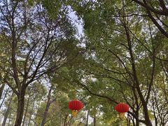 -美兰湖景区