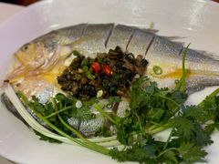 -苏大嘴蒸汽海鲜·海胆蒸饺(中山广场店)