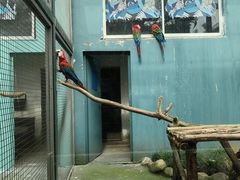 -无锡动物园·太湖欢乐园