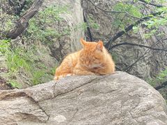 -终南山南五台景区