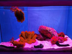 -上海海洋水族馆