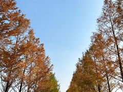 -嘉北郊野公园