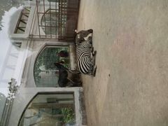 android_upload_pic-郑州市动物园