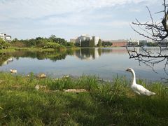 -四川大学(江安校区)