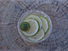 -Blue Concept Cafe&Farm·關於藍