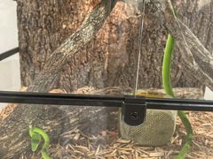 -上海昆虫博物馆