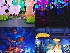 -顺德南宏海立方海洋公园