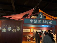 -海合安武汉极地海洋公园