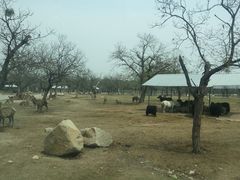 -西安秦岭野生动物园