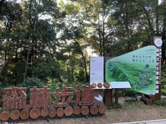 -广州市帽峰山景区