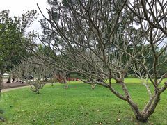 -红色娘子军纪念园