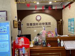 -宠爱国际动物医院· 猫科· 外科·中兽医(长白店)
