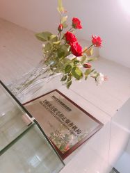 -比华利美容医院