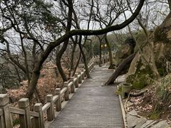-灵岩山风景区