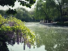 -济南大明湖景区
