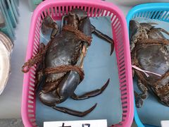 -龙海鲜螃蟹王(宏茂桥店)