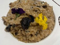 黑松露菌菇烩饭-开间茶馆·围炉煮茶