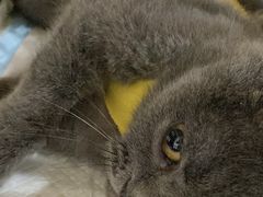 -拜鲁耶动物诊疗中心·宠家动物医院