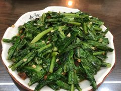 油麦菜-福利来酒店(泺源大街店)
