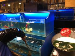 -芭菲盛宴·环球美食(袁家岗店)