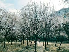 -渤海大学(松山校区)