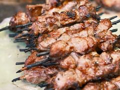 红柳烤肉-艾力江和田馕坑烤肉店