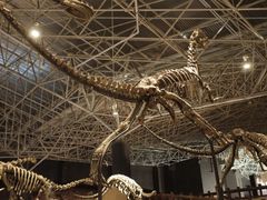 -世界恐龙谷景区