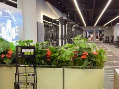 -TMG潮流健身(奥体莲荷里店)