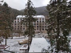 -武陵山森林公园