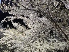 -龙美术馆西岸馆-停车场