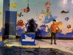 -太平洋海底世界