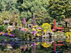 -杭州植物园