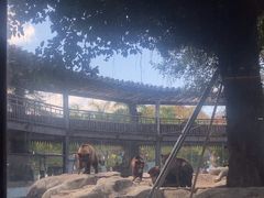 -灵玲国际马戏城